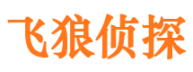 闽清市调查公司